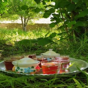 بوم گردی عمو نعمت کلات - واحد ۵